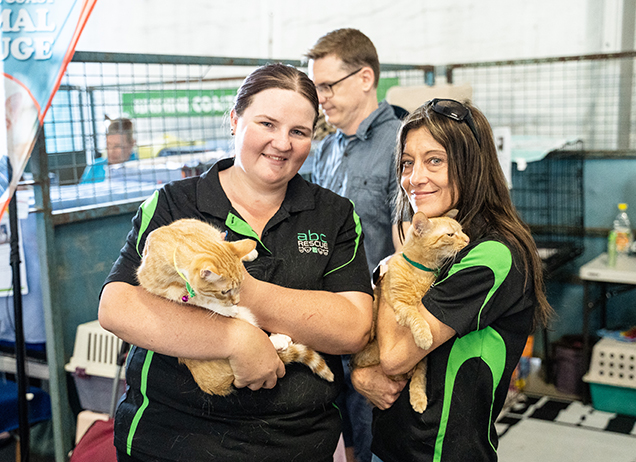 big adopt out rescue groups